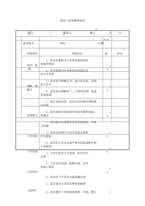 新员工试用期考核表格范例范例范例