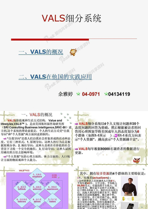 VALS(价值观和生活方式结构)细分系统