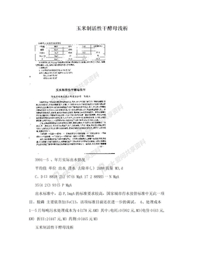 玉米制活性干酵母浅析