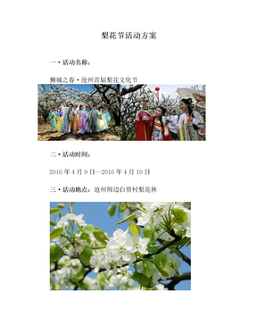 梨花节活动方案(1)
