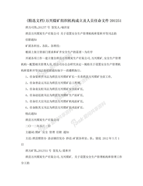 (精选文档)万兴煤矿组织机构成立及人员任命文件201251