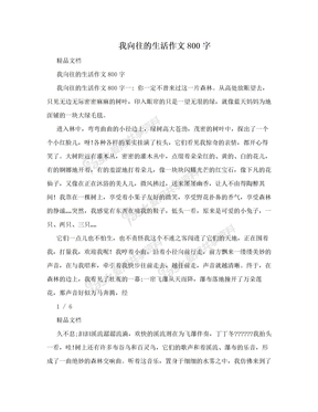 我向往的生活作文800字