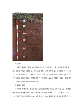 中国土壤类型.doc