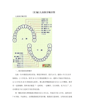 [汇编]儿童换牙顺序图