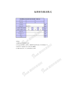 标准财务报表格式