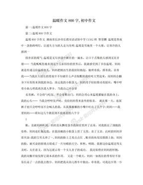 温暖作文800字,初中作文