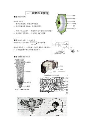 1 植物 资料