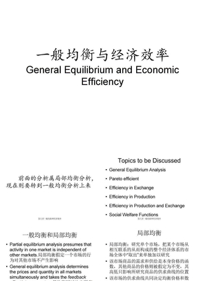 8-一般均衡和经济效率