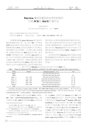 Potyvirus属成员基因组全序列的简并引物PCR和RACE扩增方法