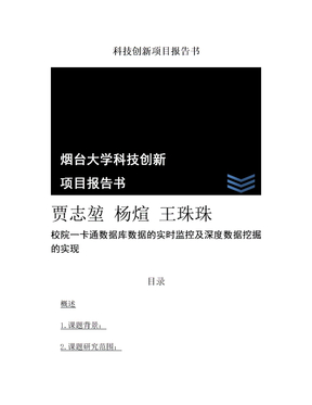 科技创新项目报告书