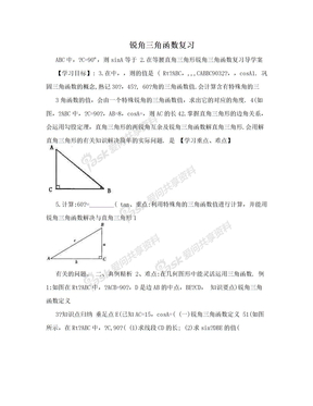 锐角三角函数复习