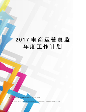 2017电商运营总监年度工作计划