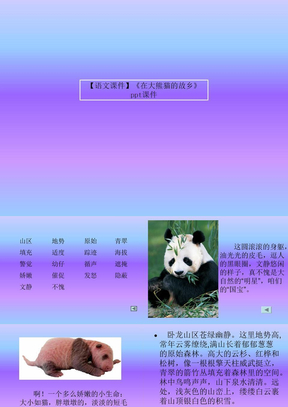 【语文课件】《在大熊猫的故乡》ppt课件