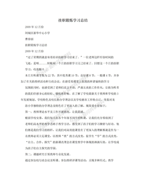 挂职锻炼学习总结