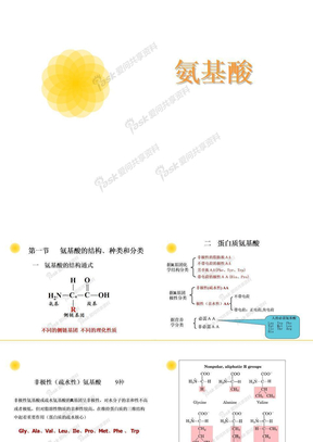 氨基酸