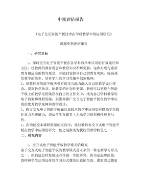 中期评估报告