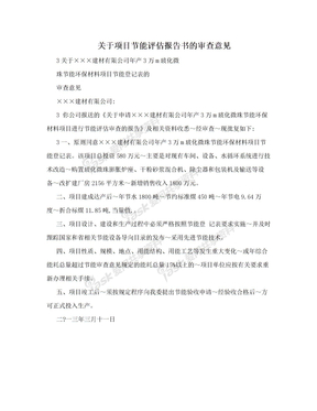 关于项目节能评估报告书的审查意见