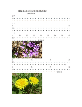 观花植物检索表