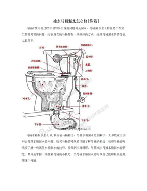 抽水马桶漏水怎么修[终稿]