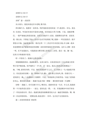 亲情作文500字