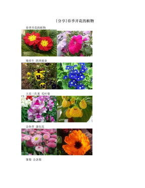 [分享]春季开花的植物
