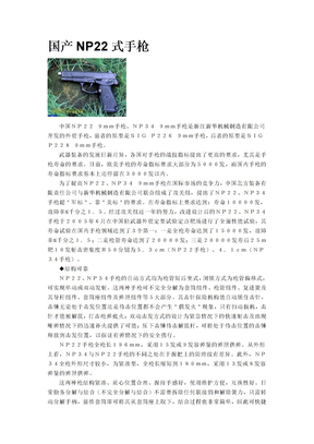 国产NP22式手枪