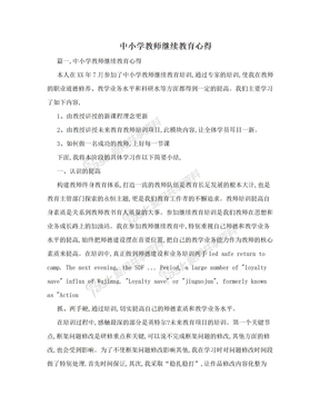 中小学教师继续教育心得