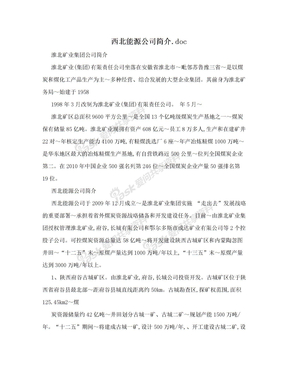 西北能源公司简介.doc