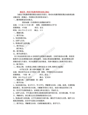 湖南第一师范学院微型课教案格式规定