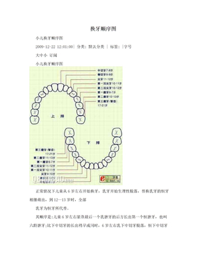 换牙顺序图