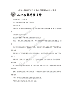 小麦空间诱变后代粒重相关基因的遗传与变异