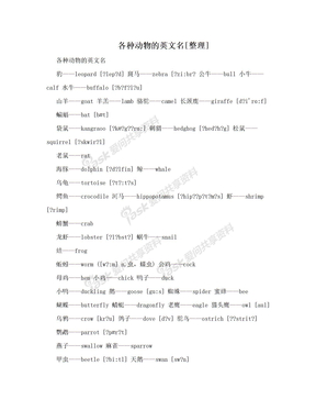 各种动物的英文名[整理]