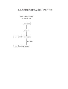 医院质量控制管理体系示意图_-1745760968