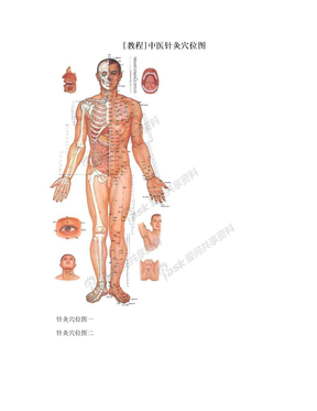 [教程]中医针灸穴位图