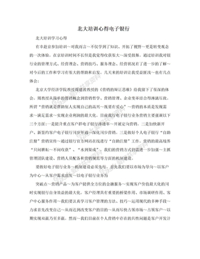 北大培训心得电子银行