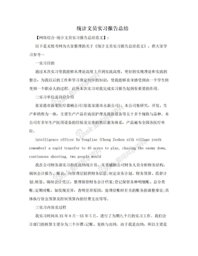 统计文员实习报告总结