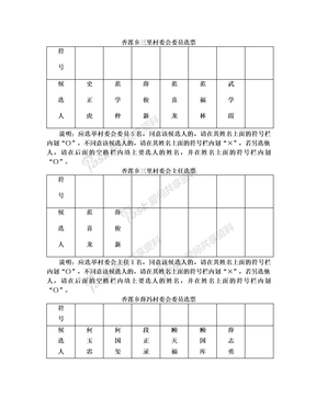 村委会换届选举委员、主任选票