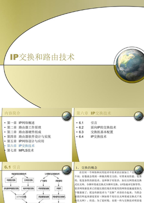 第六章IP交换技术
