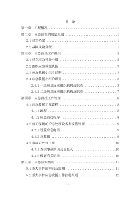 项目应急预案