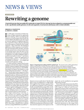crispr/cas9 editing genomic gene