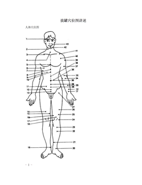 拔罐穴位图讲述