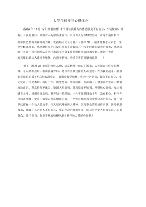 大学生榜样三心得体会