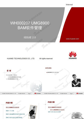 WH000207 UMG8900 BAM软件管理ISSUE2