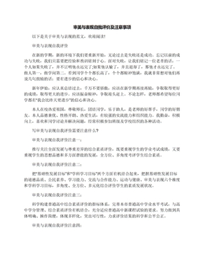 审美与表现自我评价及注意事项