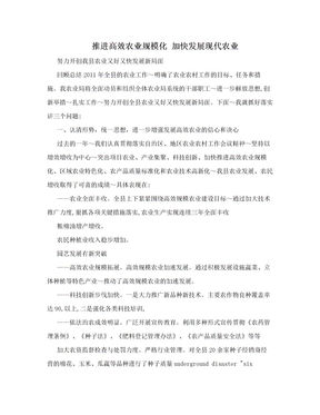 推进高效农业规模化 加快发展现代农业