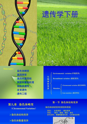 09第九章 染色体畸变