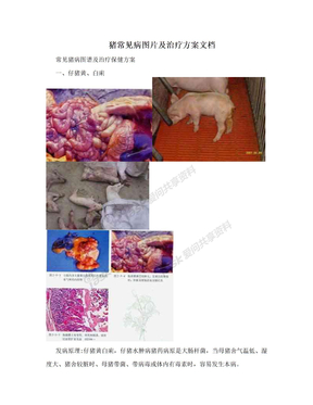 猪常见病图片及治疗方案文档