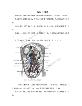 腹膜后间隙