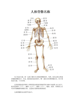 人体骨骼名称