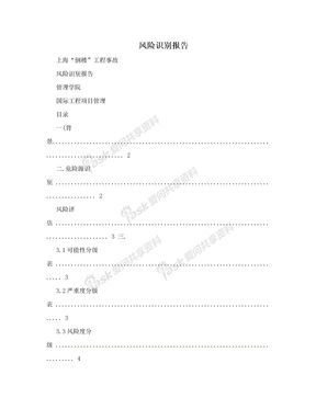 风险识别报告